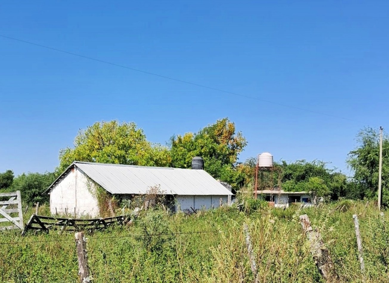 800 has Campo Mixto en La Paz - Entre Rios