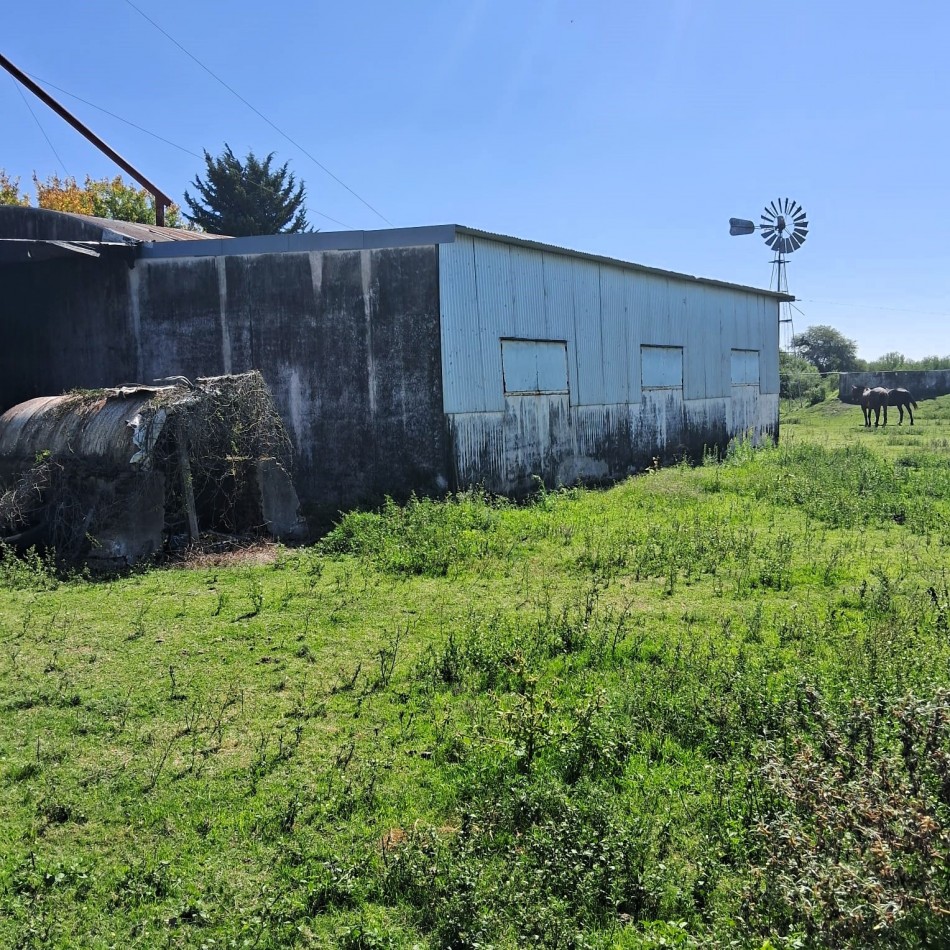 800 has Campo Mixto en La Paz - Entre Rios
